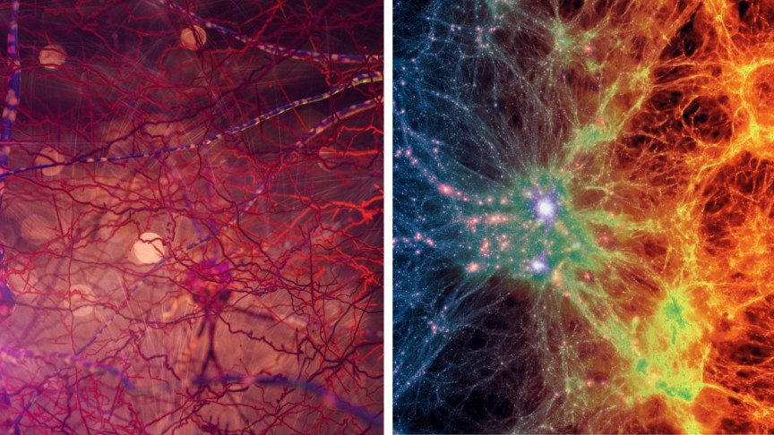 شبکه عصبی مغز به شبکه‌ کیهانی شباهت دارد